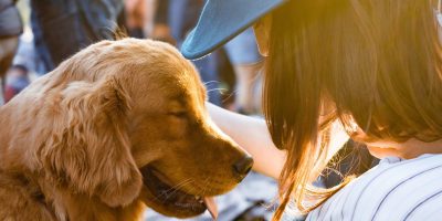 pet effect emotional support animal